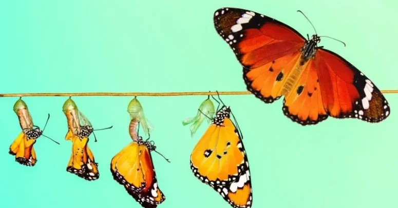 33 Rock Songs About Transformation