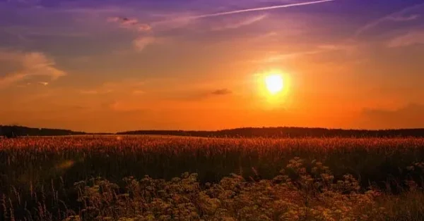 13 Songs About August