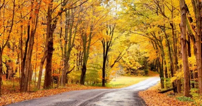 11 Songs About October