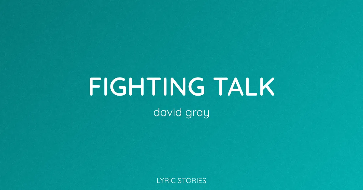 “Fighting Talk” Lyrics Meaning (David Gray)