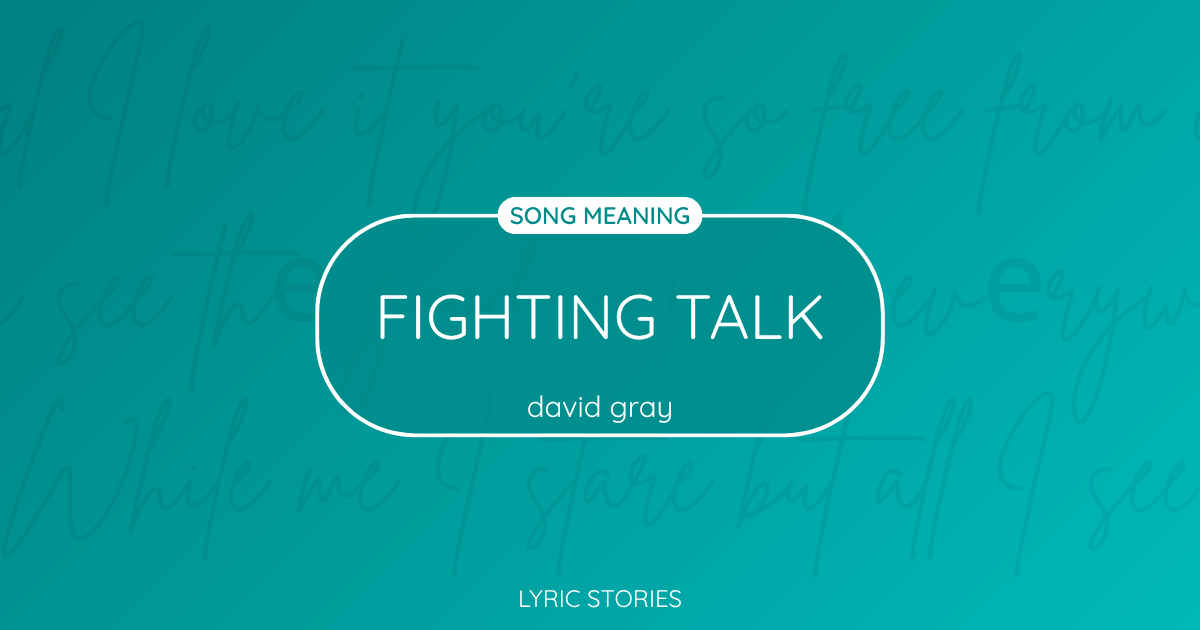 “Fighting Talk” Lyrics Meaning (David Gray)