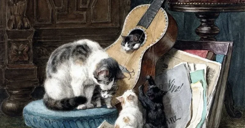 Best Songs About Cats