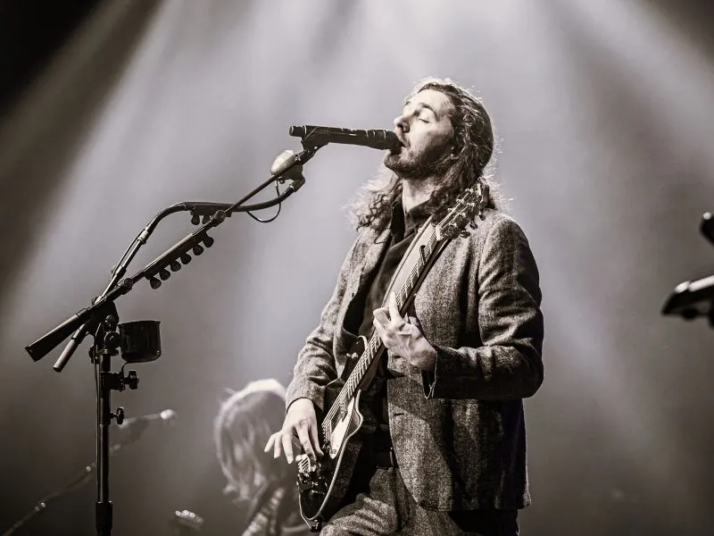 “Cherry Wine” Lyrics Meaning (Hozier)