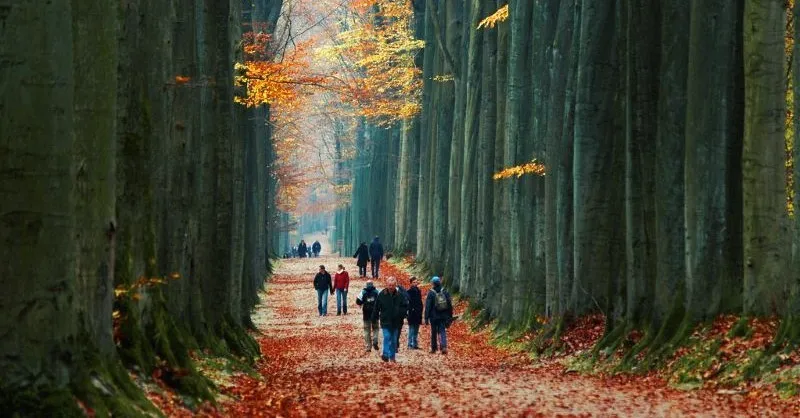 35 Songs About Sunday