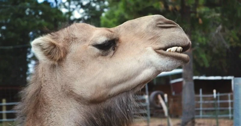 best songs about wednesdays