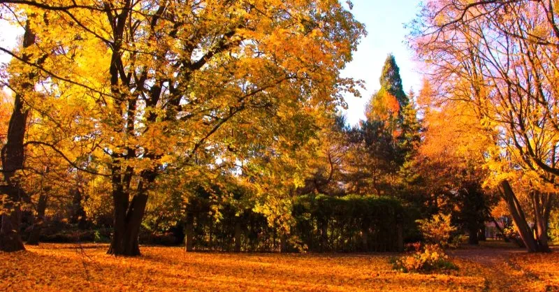 27 Songs About Fall