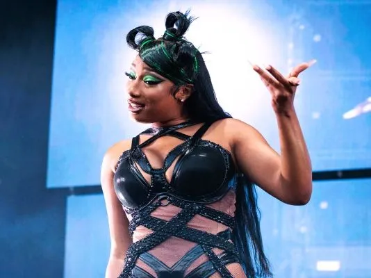 Texas songs - Megan Thee Stallion