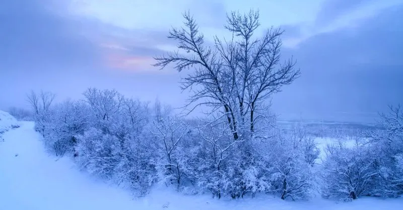 29 Songs About Winter