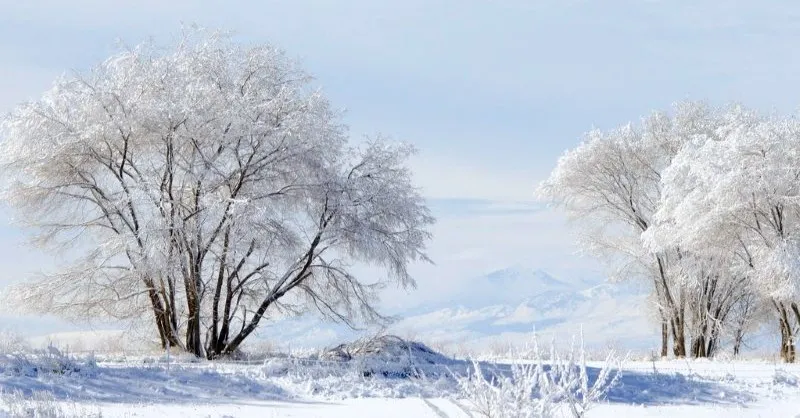 best songs about snow snowflakes and snowmen