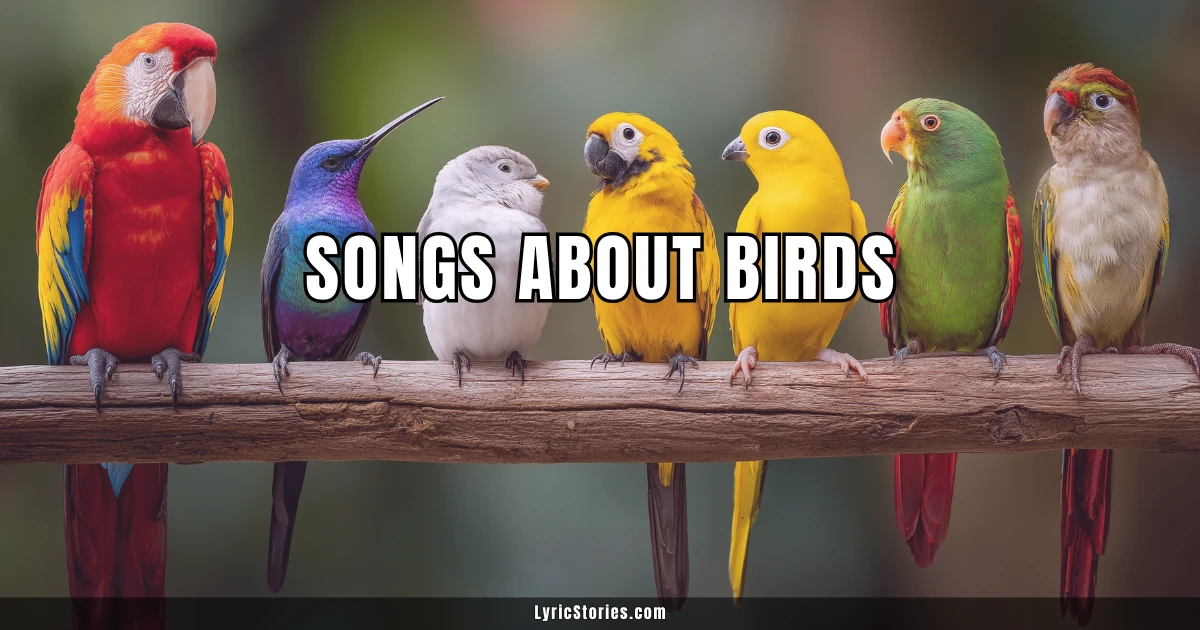 27 Songs About Birds
