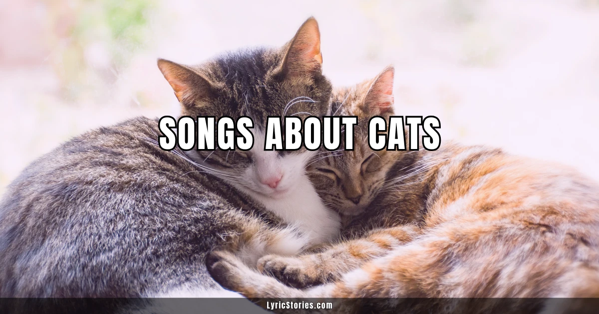 Songs About Cats