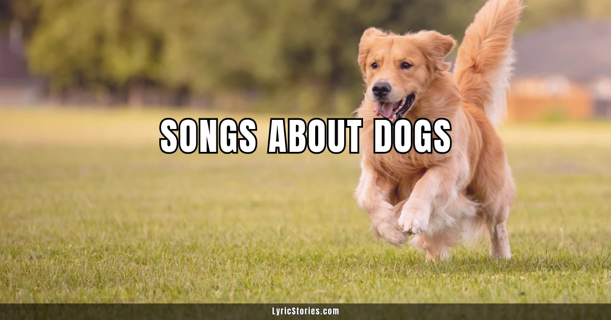 Songs About Dogs