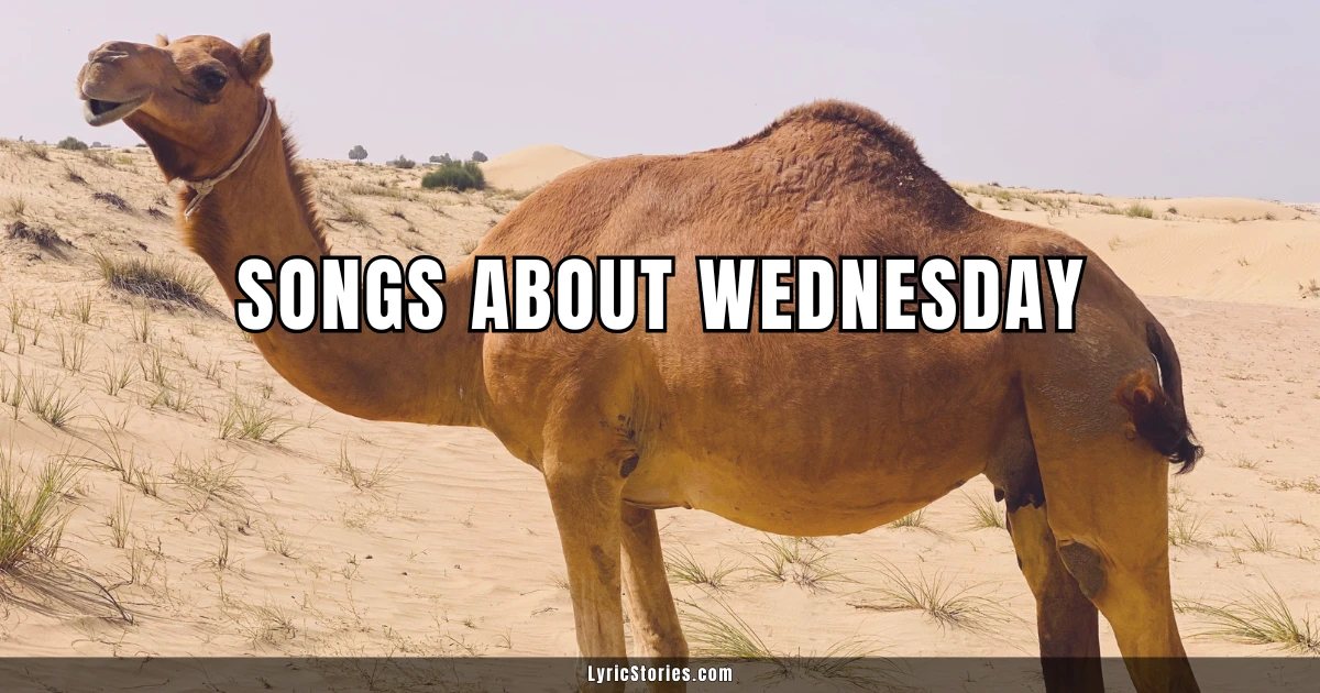 Songs About Wednesday