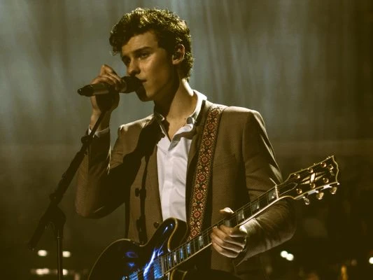 anxiety songs - Shawn Mendes